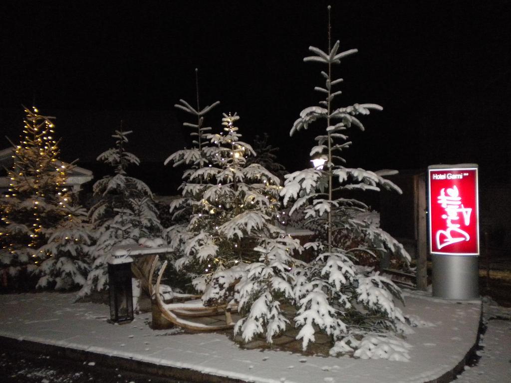 Hotel Garni Brigitte بورسربيرغ المظهر الخارجي الصورة